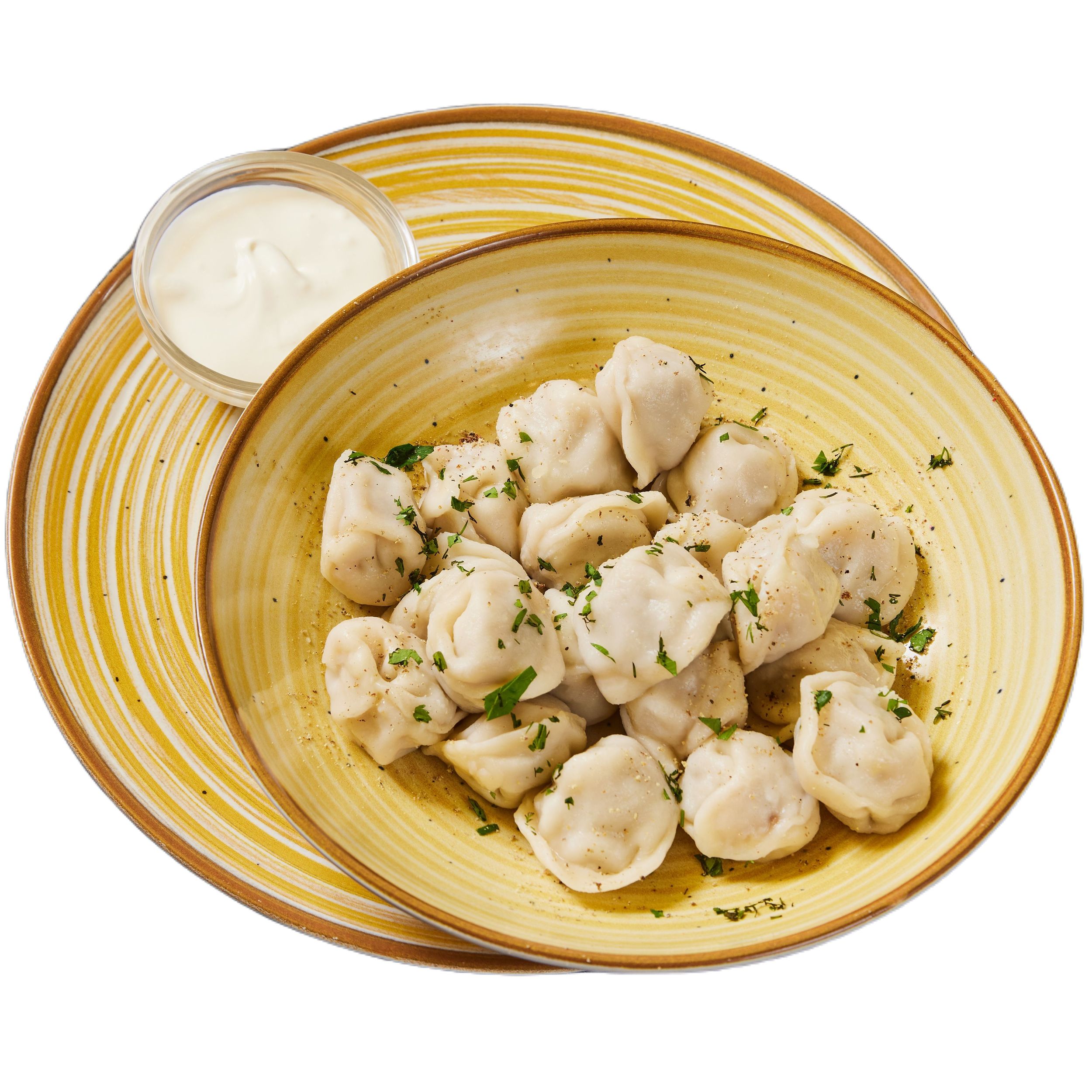 Turkey pelmeni